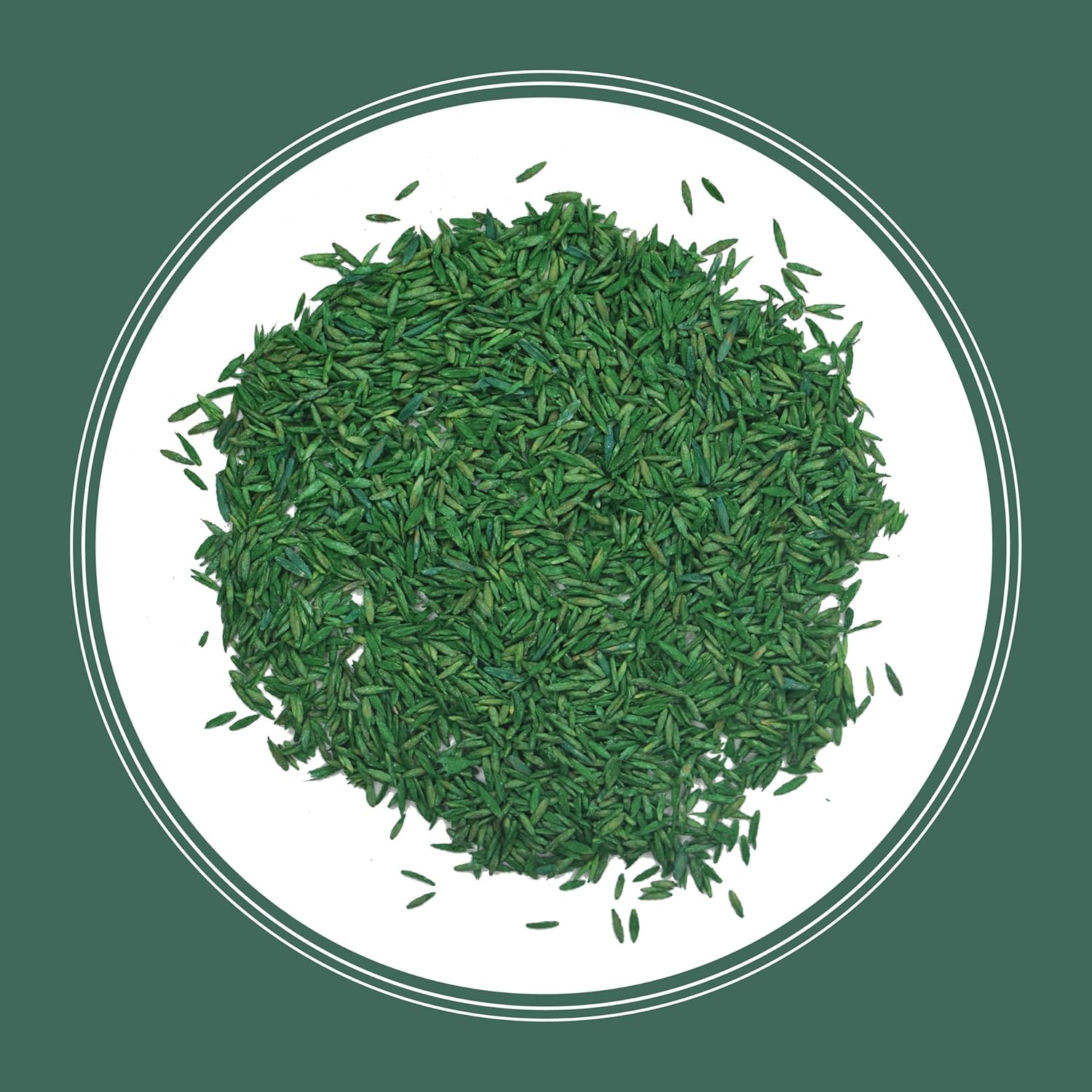 Pennington Kentucky 31 Tall Fescue Grass Seed 20 lb14