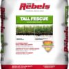 Pennington Rebel Tall Fescue Mixture Powder Coated Seed, 20 lb.