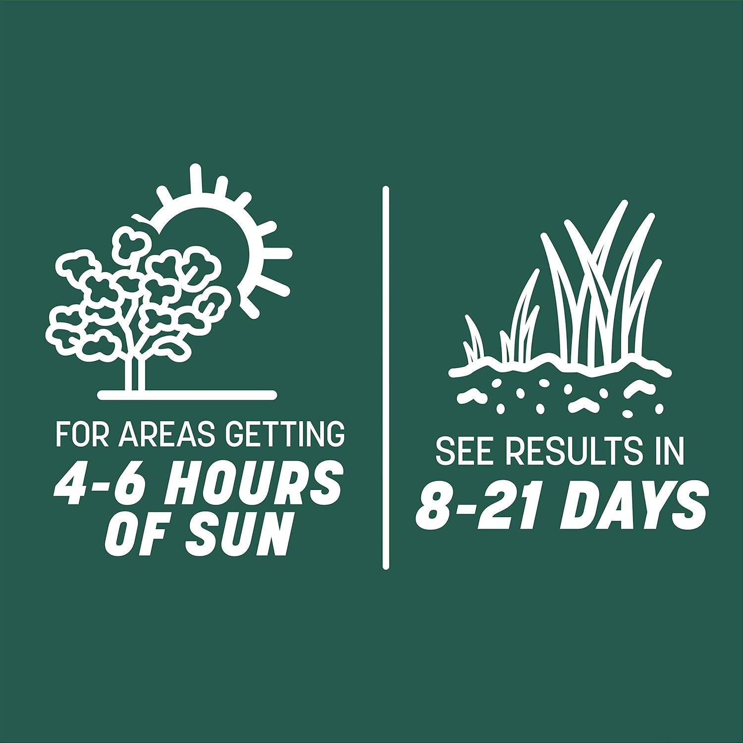 Pennington Smart Seed Sun and Shade Tall Fescue Grass Seed Mix for Southern Lawns 20 lb9