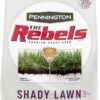 Pennington The Rebels Tall Fescue Shady Grass Seed Mix 7 lb