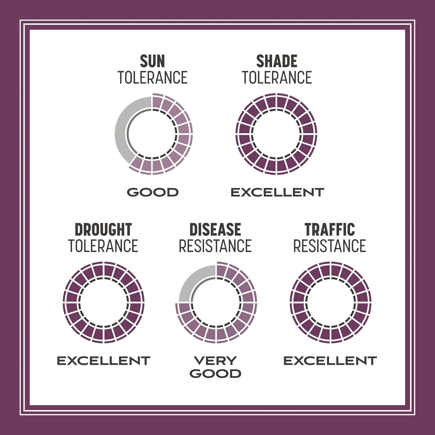 Pennington The Rebels Tall Fescue Shady Grass Seed Mix 7 lb11