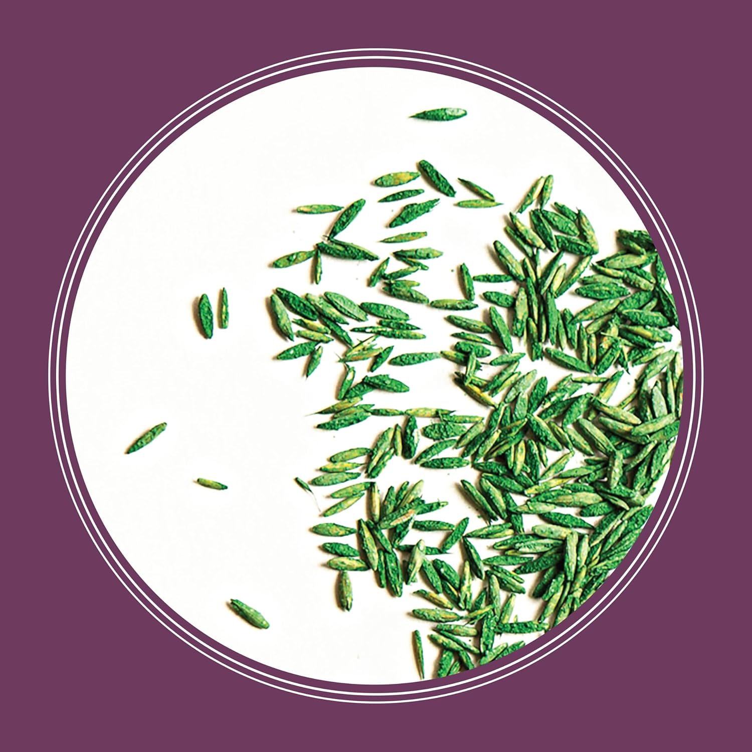 Pennington The Rebels Tall Fescue Shady Grass Seed Mix 7 lb165