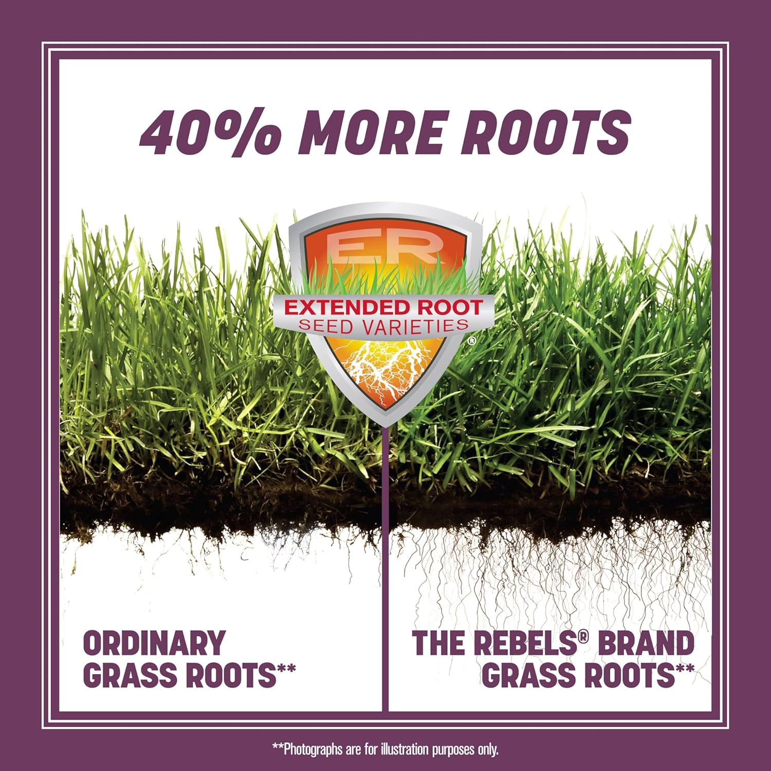 Pennington The Rebels Tall Fescue Shady Grass Seed Mix 7 lb2