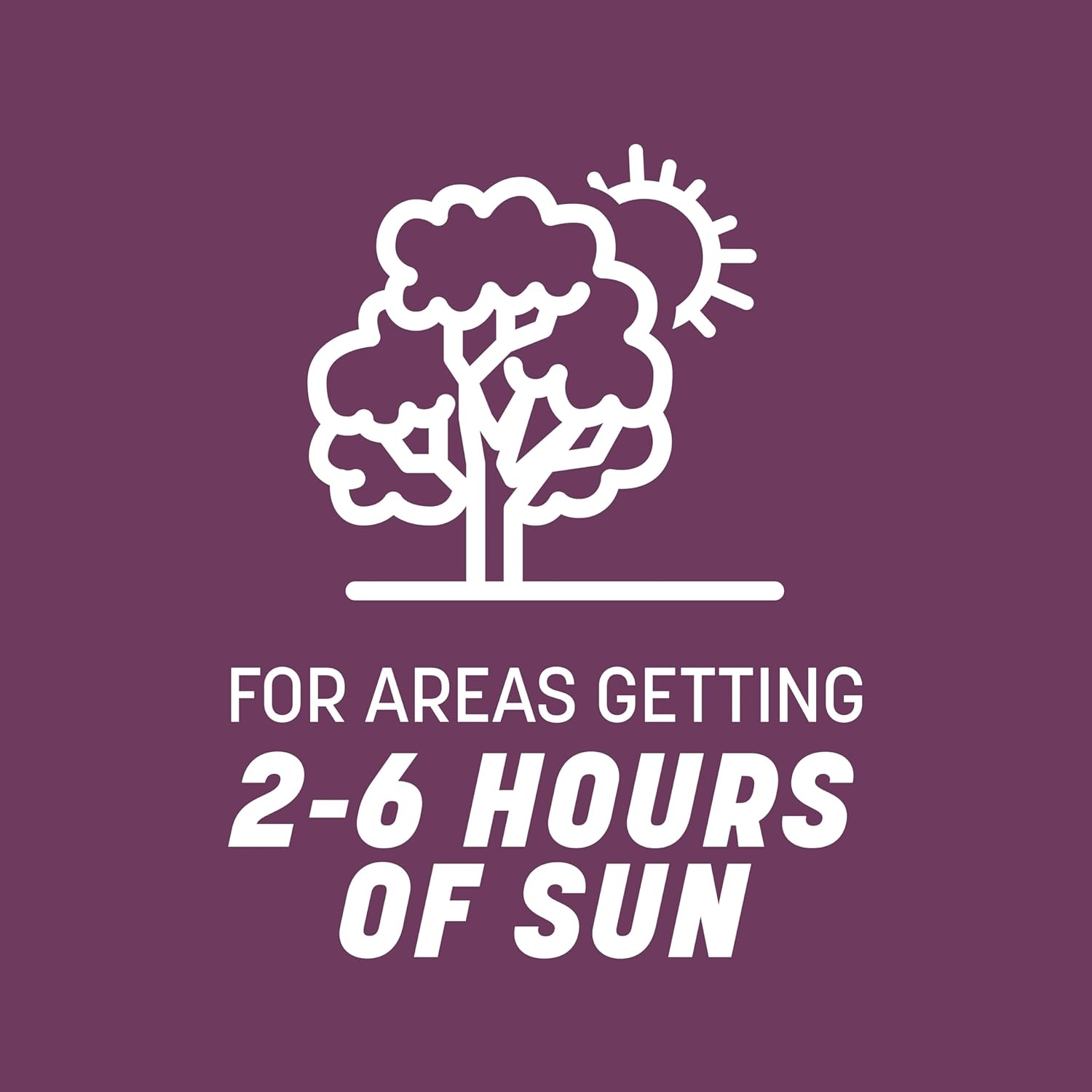 Pennington The Rebels Tall Fescue Shady Grass Seed Mix 7 lb6