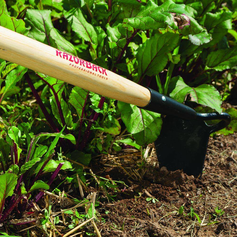 Razor-Back 67126 Nursery Beet Hoe1