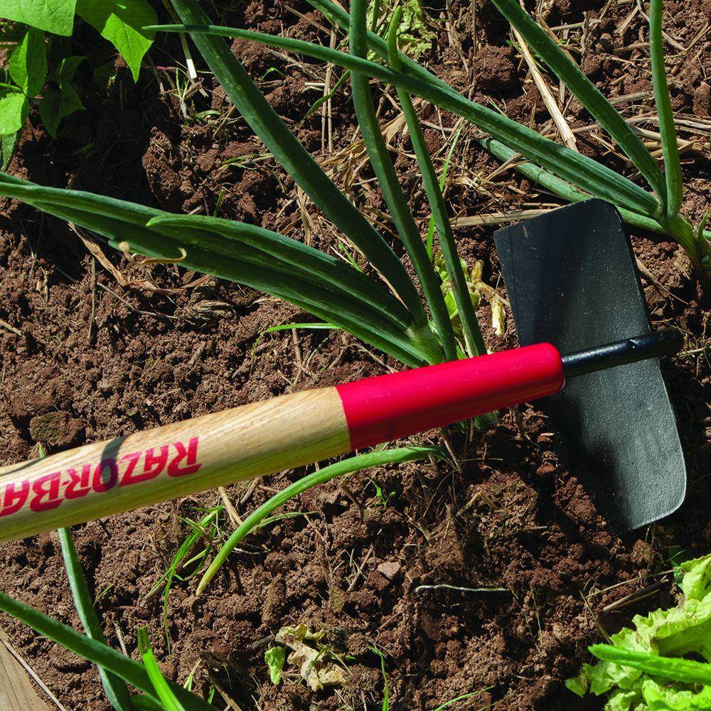 Razor-Back 71112 Cotton Hoe6