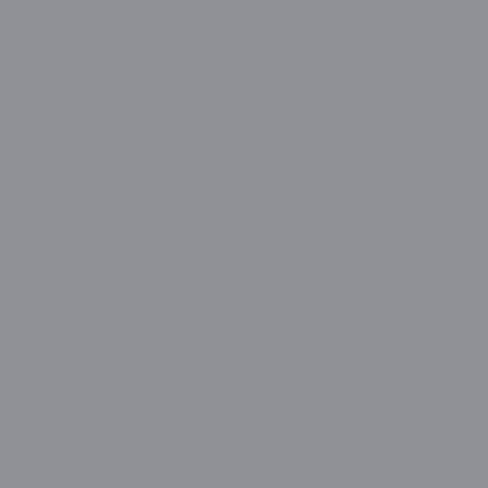 Rust-Oleum Automotive 249279 11 oz. Flat Gray Filler Primer Spray (6-Pack) 58 SHOP FATHER'S DAY GIFTS2