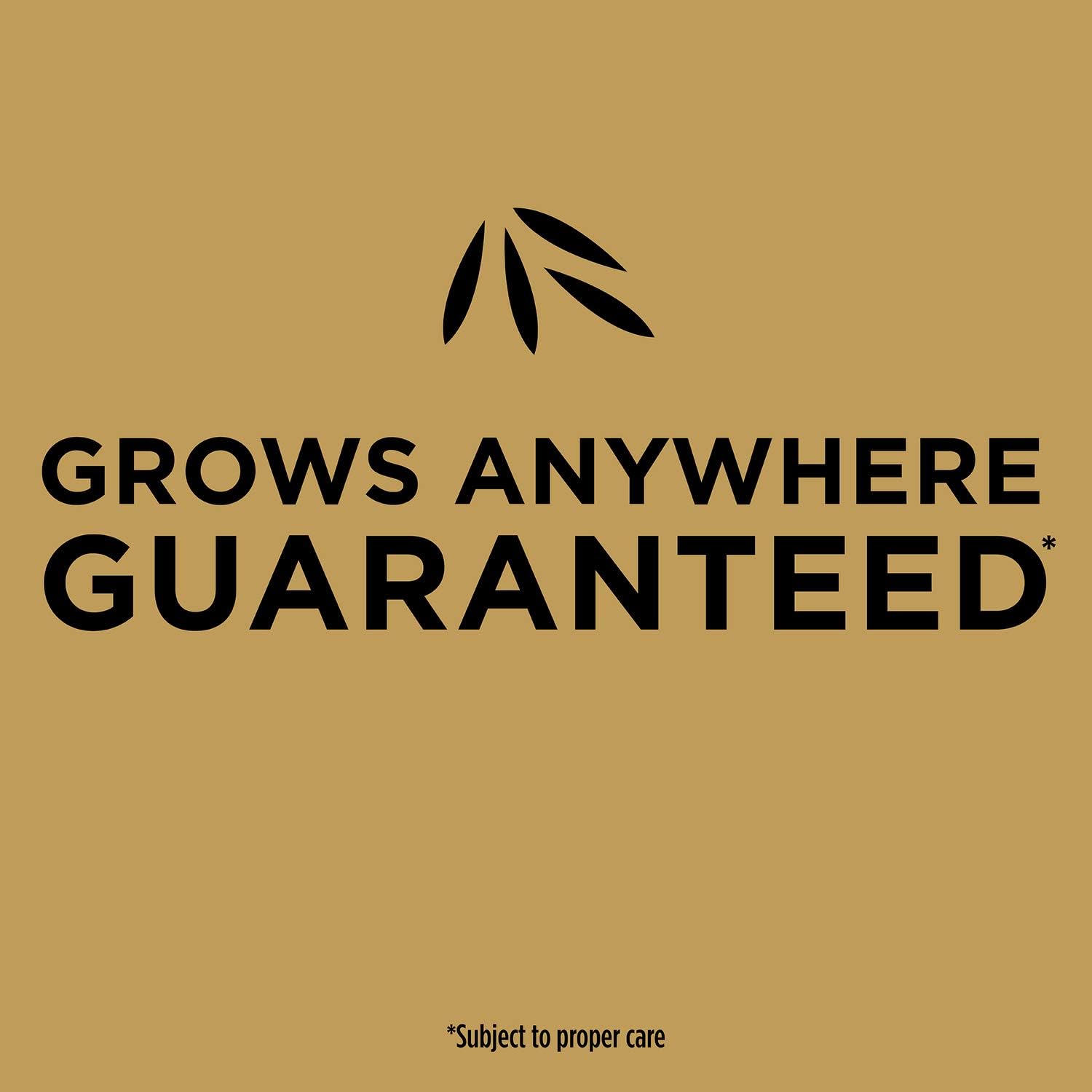Scotts EZ Seed Patch & Repair for Sun and Shade Combination Mulch, Sun and Shade Grass Seed and Fertilizer for Bare Spots and Repair, Grows Anywhere, 20 lbs.0