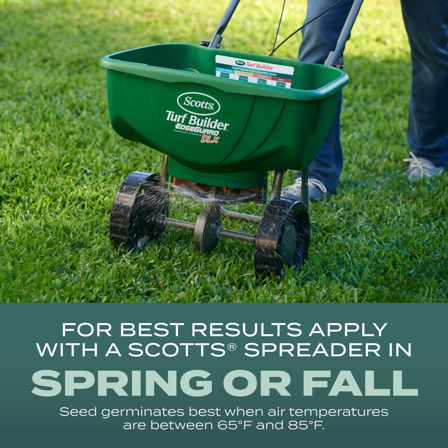 Scotts Turf Builder Grass Seed Dense Shade Mix with Fertilizer and Soil Improver, Grows With Little Sunlight, 5.6 lbs.4