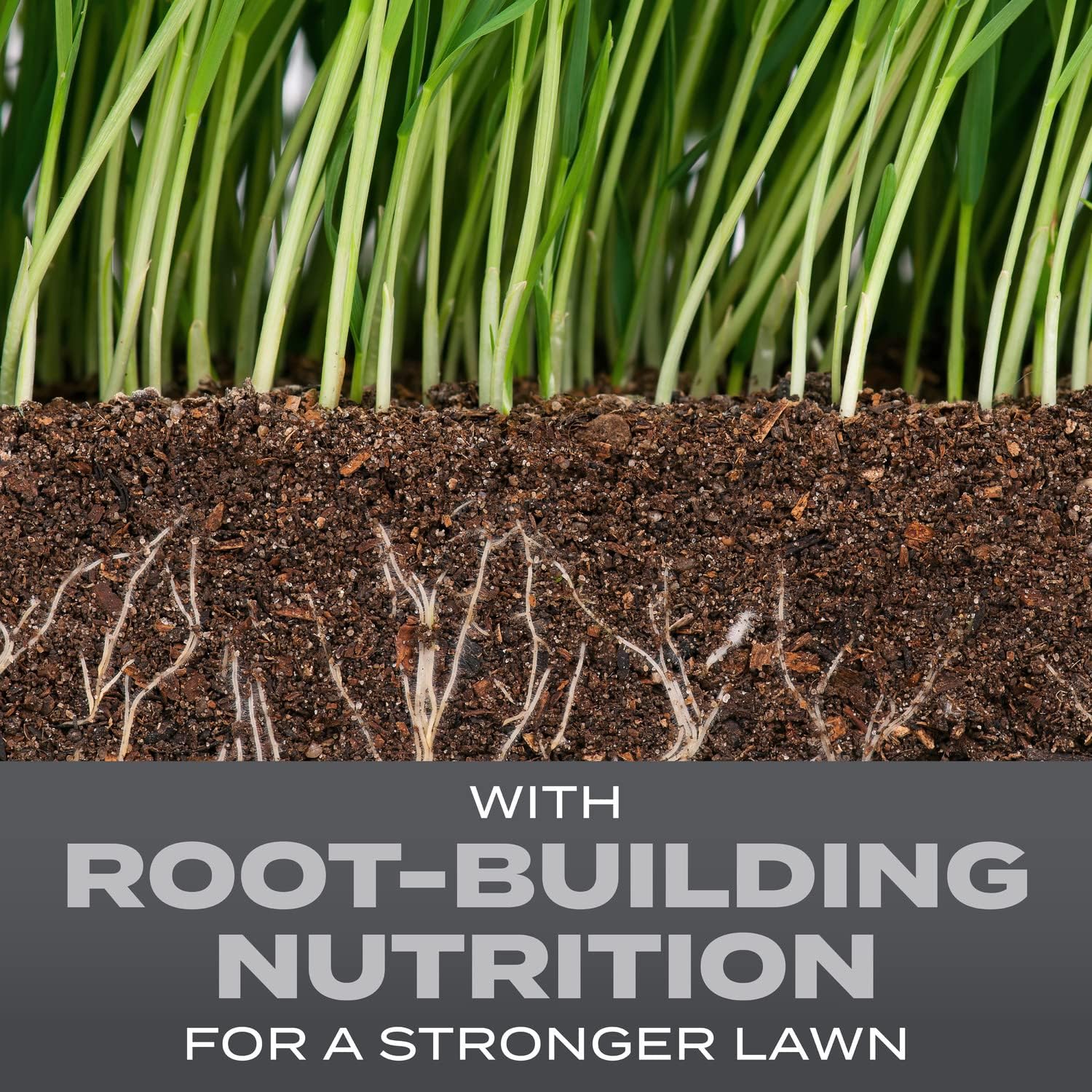 Scotts Turf Builder Grass Seed Pennsylvania State Mix with Fertilizer and Soil Improver, Premium Mix, 16 lbs.2