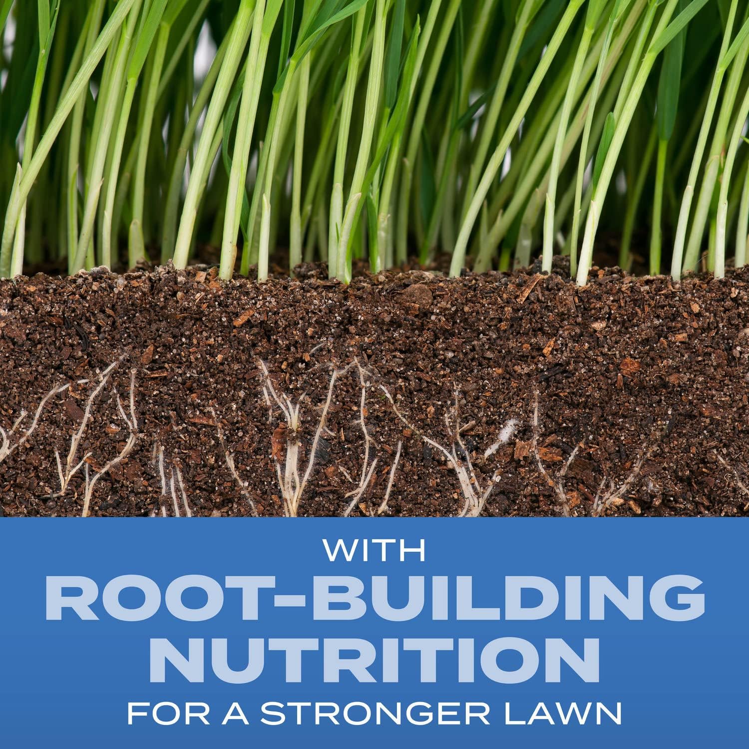Scotts Turf Builder Grass Seed Sun and Shade Mix with Fertilizer and Soil Improver, Thrives in Many Conditions, 16 lbs.2