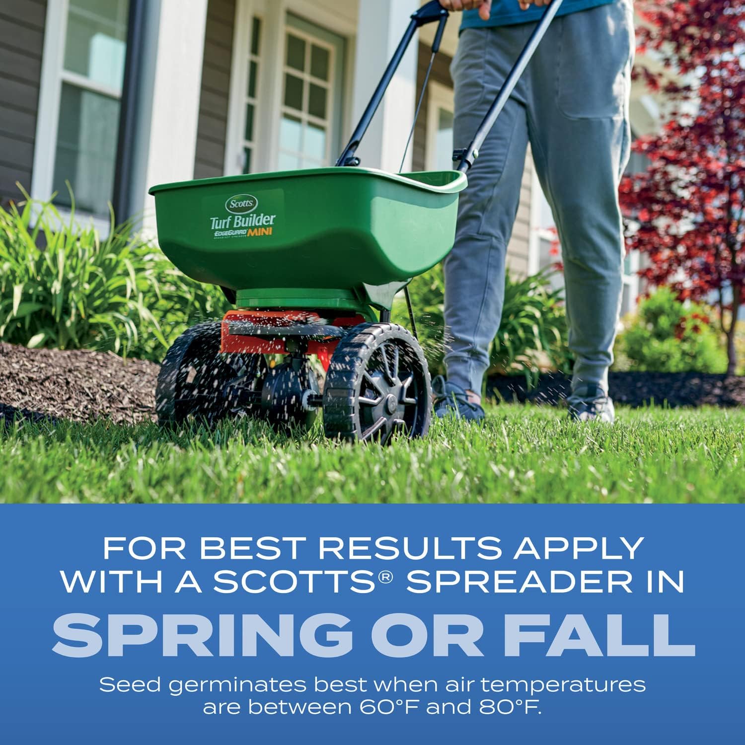 Scotts Turf Builder Grass Seed Sun and Shade Mix with Fertilizer and Soil Improver, Thrives in Many Conditions, 16 lbs.5