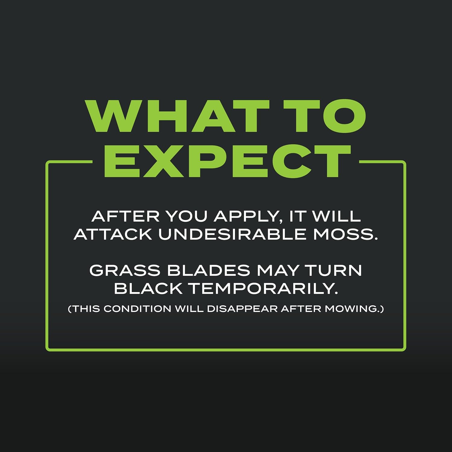 Scotts Turf Builder Triple Action for Moss Control, Moss Killer and Lawn Fertilizer, Covers Up to 8,000 sq. ft., 40 lbs.5