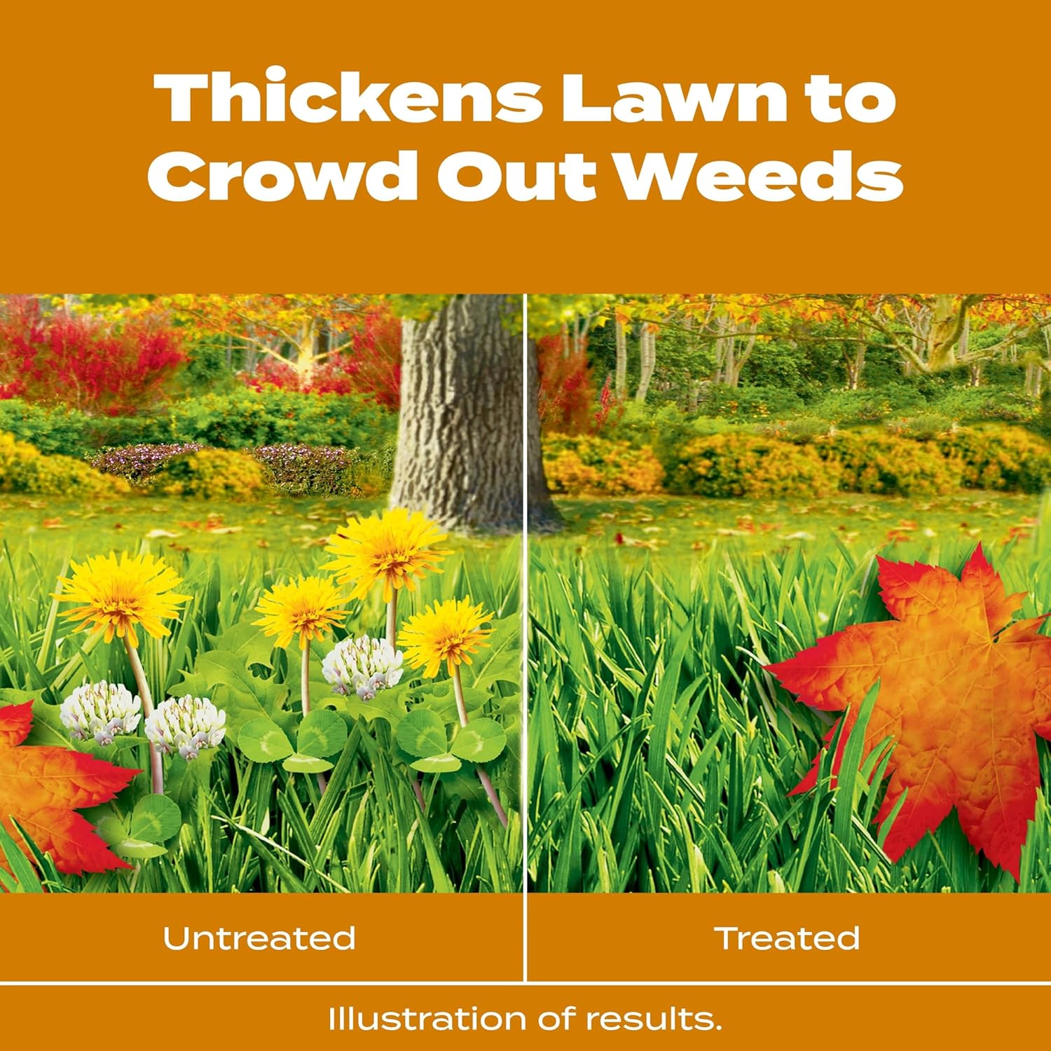 Scotts Turf Builder WinterGuard Fall Weed & Feed5, Weed Killer Plus Fall Fertilizer, 4,000 sq. ft., 11.28 lbs.2
