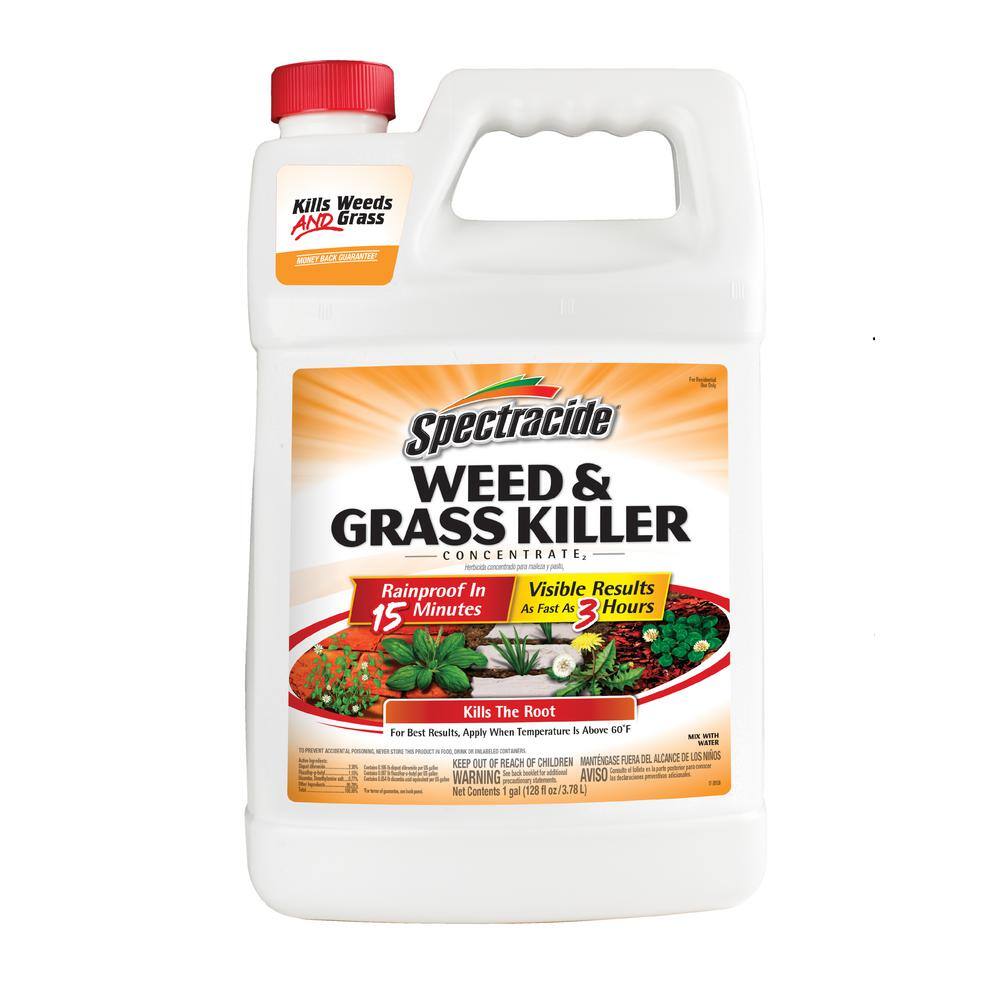 Spectracide HG-96620-2 1 Gal. Concentrate Weed and Grass Killer Spectracide HG-96620-2 1 Gal. Concentrate Weed and Grass Killer