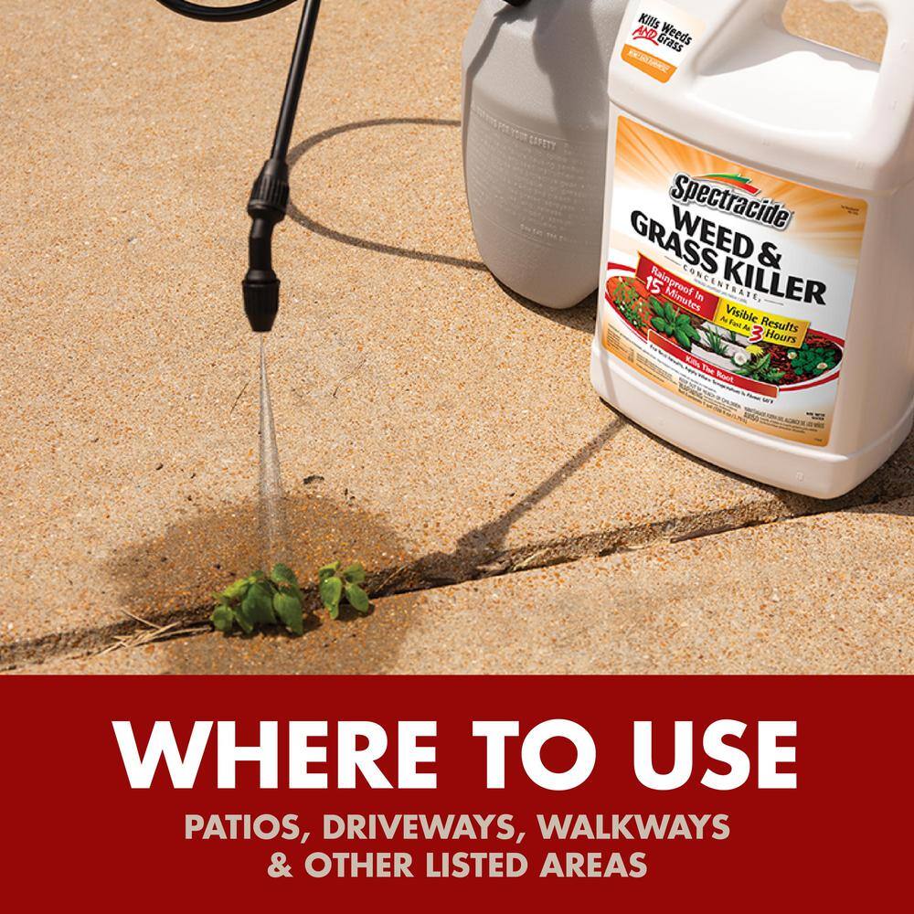Spectracide HG-96620-2 1 Gal. Concentrate Weed and Grass Killer2