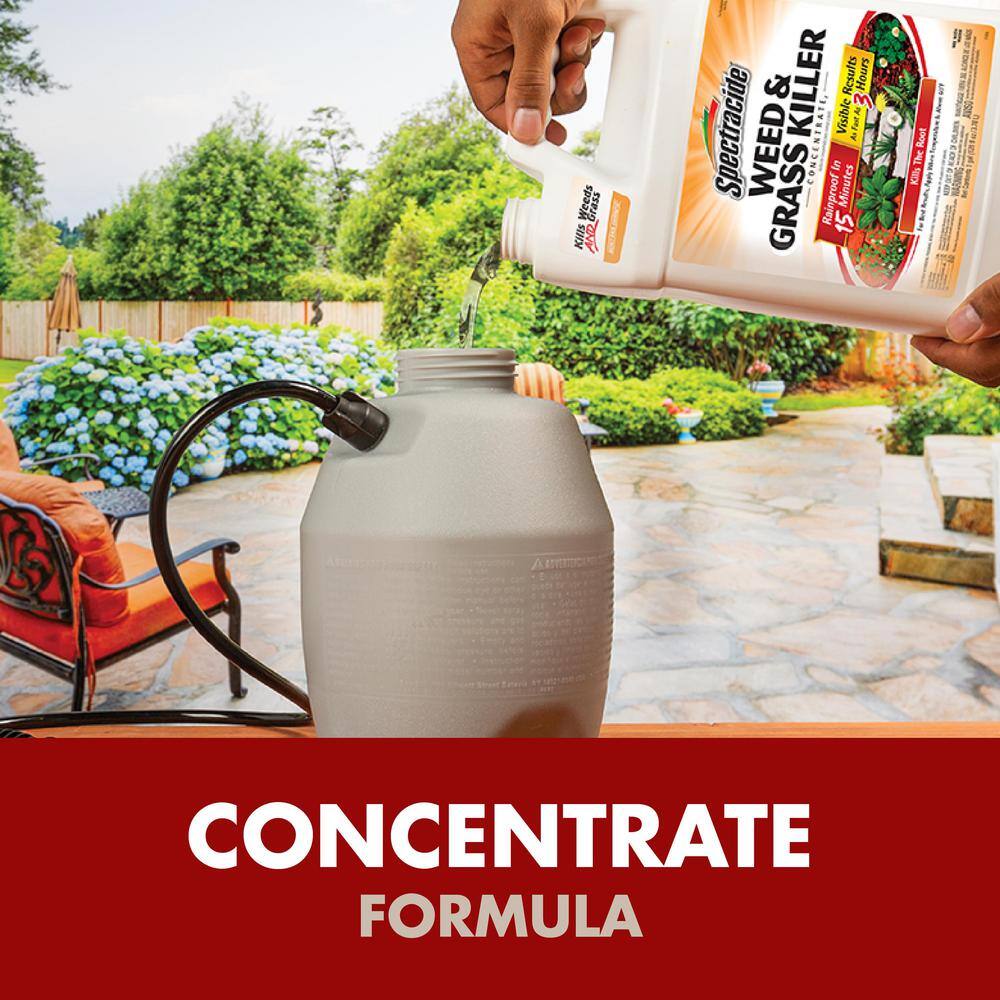 Spectracide HG-96620-2 1 Gal. Concentrate Weed and Grass Killer3