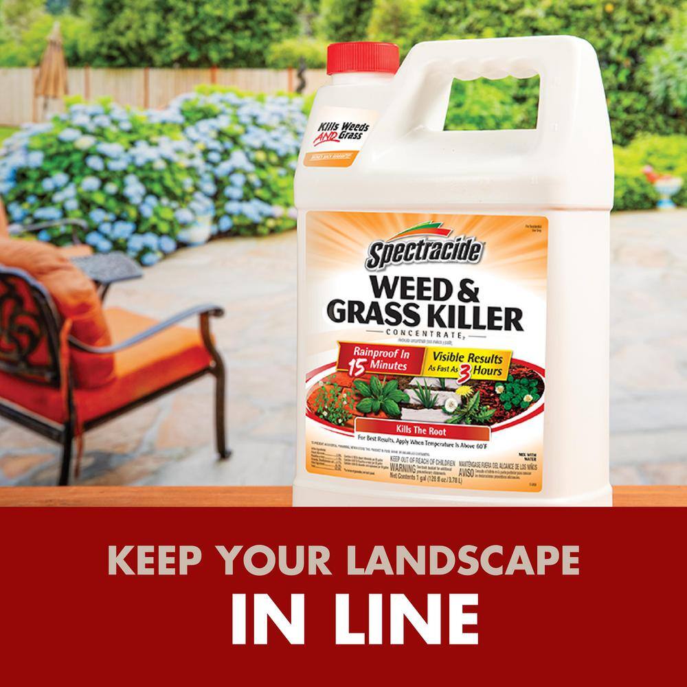 Spectracide HG-96620-2 1 Gal. Concentrate Weed and Grass Killer6