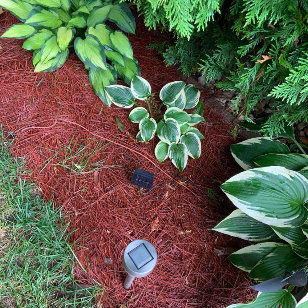 ATENGNES YD240874 Natural Longleaf Pine Straw Roll for Landscaping Covers Up to 125 sq. ft.-