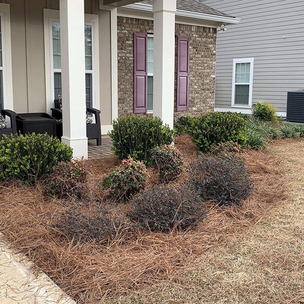 ATENGNES YD240874 Natural Longleaf Pine Straw Roll for Landscaping Covers Up to 125 sq. ft.3