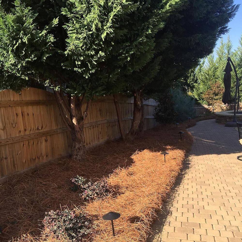ATENGNES YD240874 Natural Longleaf Pine Straw Roll for Landscaping Covers Up to 125 sq. ft.4