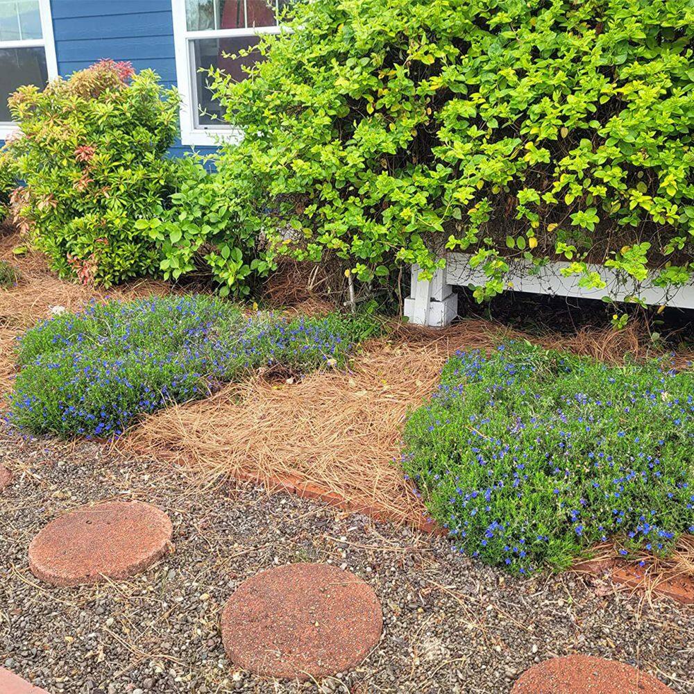 ATENGNES YD240874 Natural Longleaf Pine Straw Roll for Landscaping Covers Up to 125 sq. ft.8