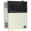 Ashley Hearth Products DVAG11N 11,000 BTU Direct Vent Natural Gas Heater