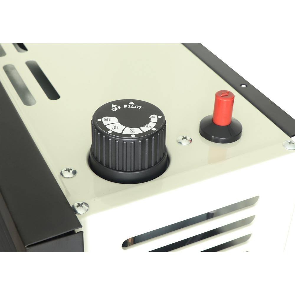 Ashley Hearth Products DVAG11N 11,000 BTU Direct Vent Natural Gas Heater5