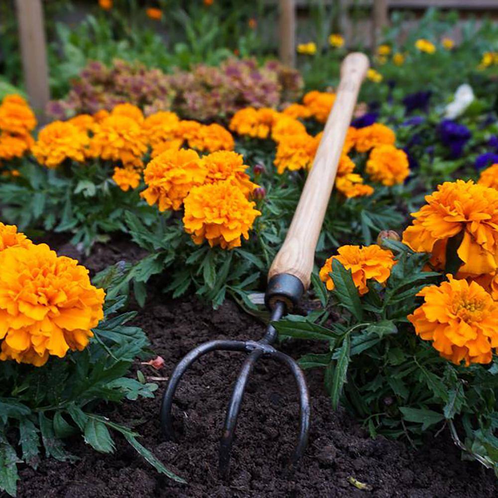 DeWit 31-8725 19 in. Handle 3-Tine Drop Grip Handle Cultivator1