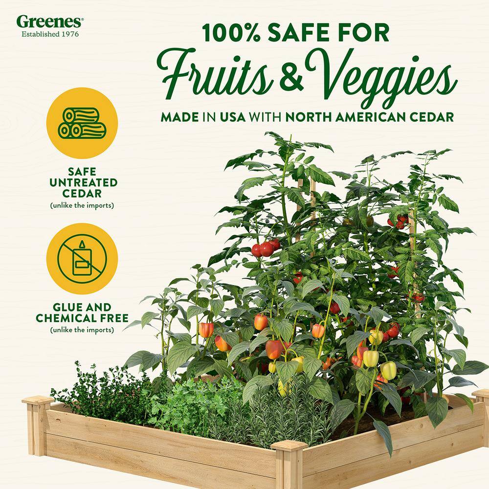 Greenes Fence RC 4C4 4 ft. x 4 ft. x 7 in. Original Cedar Raised Garden Bed4