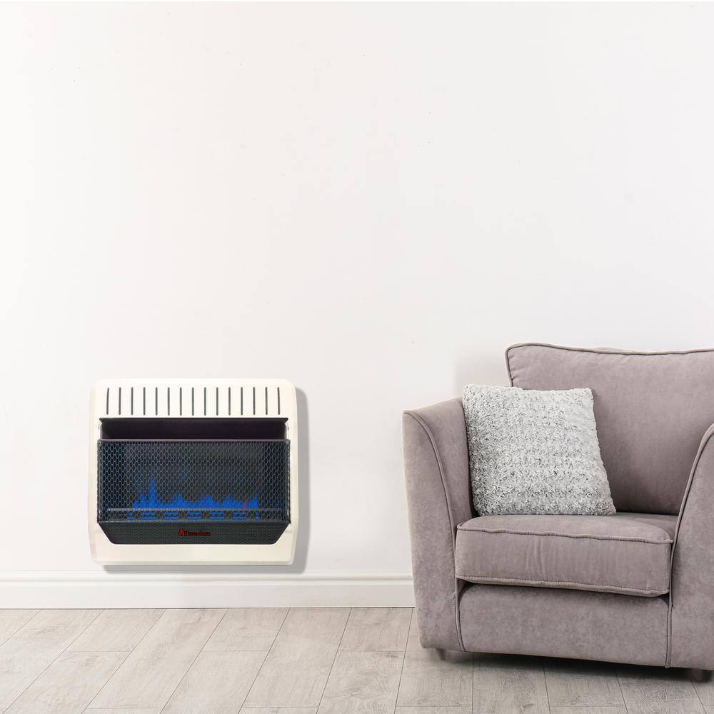 HearthSense 171101 30,000 BTU Vent Free Dual Fuel (NG or LP) Blue Flame Heater with Base Feet - T-Stat Control9