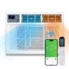 Karl home K1G46000635 8000 BTU (DOE) 115-Volt WIFI Window Air Conditioner Cools 350 sq. ft. with Heater with Remote in White