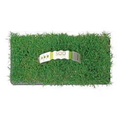 Sod Pods SPBM32 Bermuda Grass Plugs (32-Count) Natural, Affordable Lawn Improvement