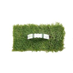 Sod Pods SPBM64 Bermuda Grass Plugs (64-Count) Natural, Affordable Lawn Improvement