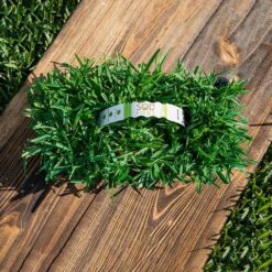 Sod Pods SPSAF64 St Augustine Floratam Grass Plugs (64-Count) Natural, Affordable Lawn Improvement