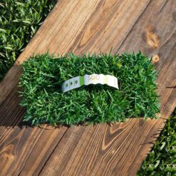 Sod Pods SPZO16 Zoysia Grass Plugs (16-Count) Natural, Affordable Lawn Improvement