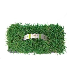 Sod Pods SPZO64 Zoysia Grass Plugs (64-Count) Natural, Affordable Lawn Improvement