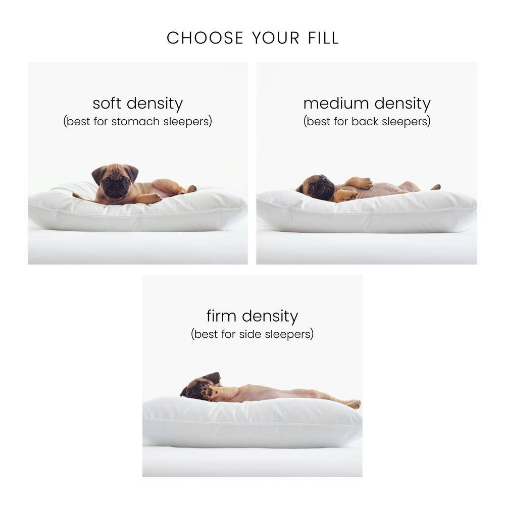 The Company Store 11209C-K-WHITE Lacrosse LoftAIRE Firm White King Pillow2