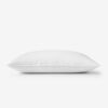 The Company Store 11215A-STD-WHITE Legends Hotel Organic Down Soft Feathers Standard Pillow