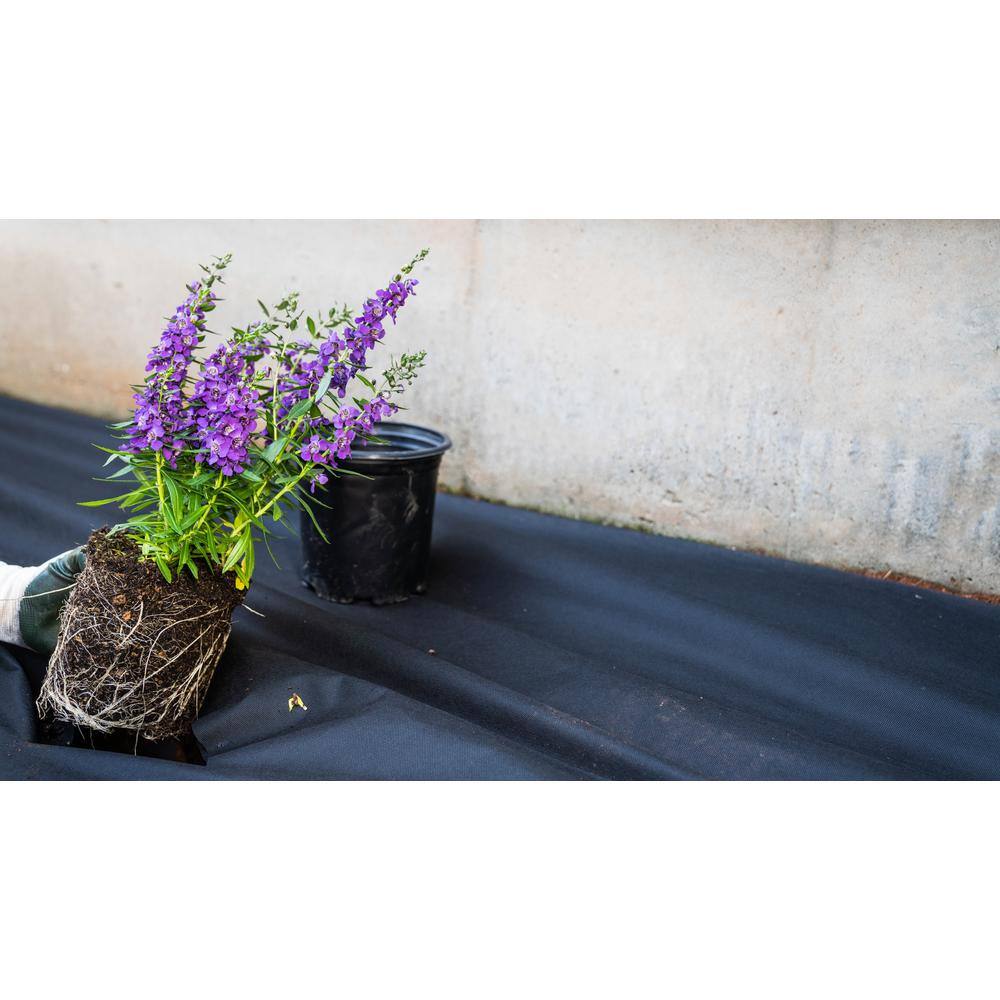 Vigoro NMV04100B 4 ft. x 100 ft. Medium Duty Weed Barrier Landscape Fabric8