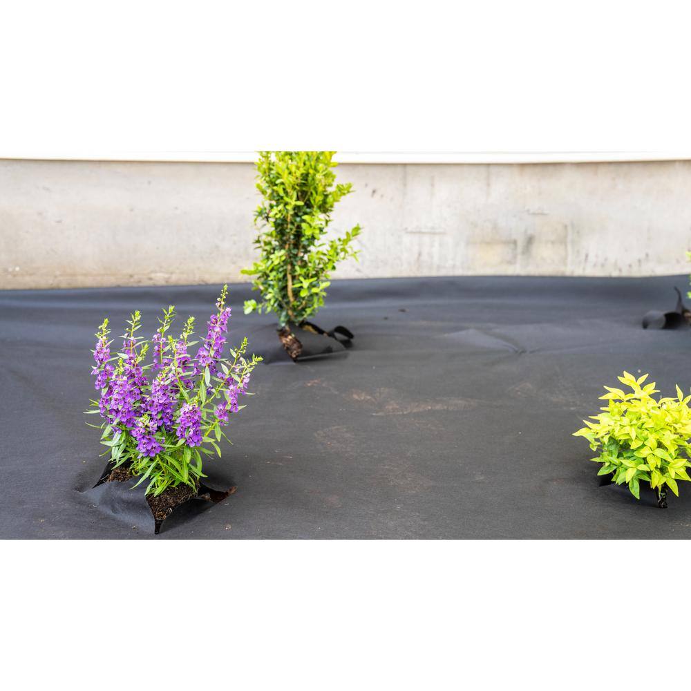 Vigoro NMV04100B 4 ft. x 100 ft. Medium Duty Weed Barrier Landscape Fabric9
