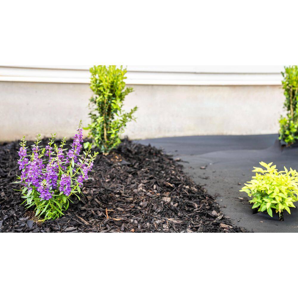 Vigoro NMV04200B 4 ft. x 200 ft. Medium Duty Point Bond Weed Barrier Landscape Fabric11