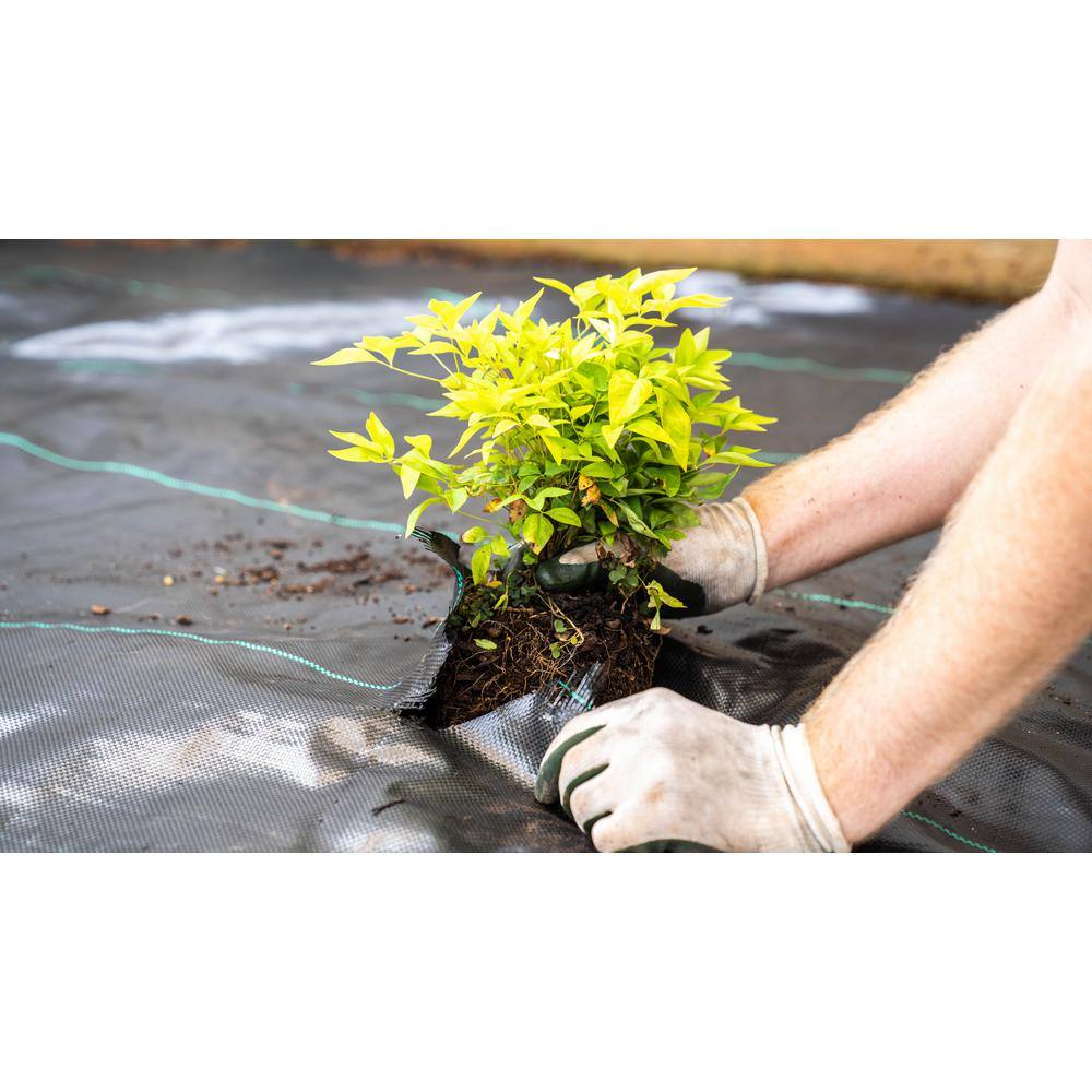 Vigoro NWVGC6100 6 ft. x 100 ft. Woven Polypropylene Ground Cover Landscape Fabric0