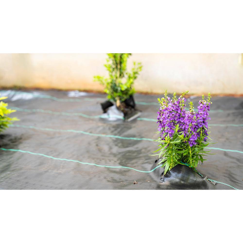 Vigoro NWVGC6100 6 ft. x 100 ft. Woven Polypropylene Ground Cover Landscape Fabric11