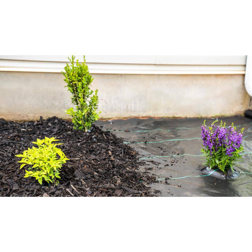 Vigoro NWVGC6100 6 ft. x 100 ft. Woven Polypropylene Ground Cover Landscape Fabric15
