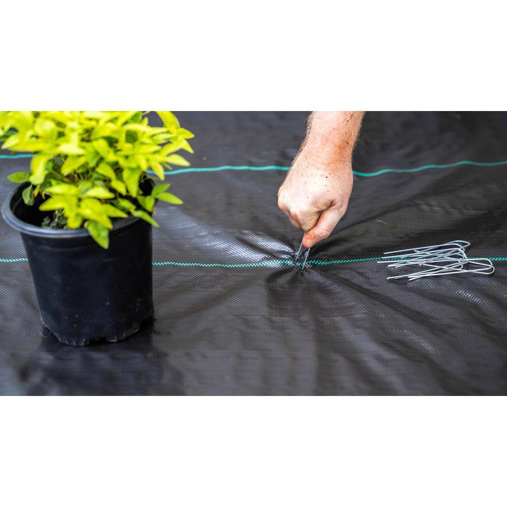 Vigoro NWVGC6100 6 ft. x 100 ft. Woven Polypropylene Ground Cover Landscape Fabric6