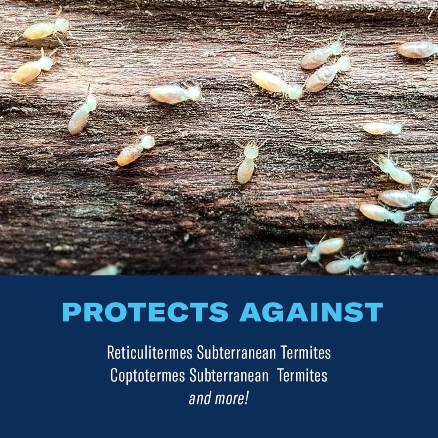 BioAdvanced Termite Killer, Home Perimeter Treatment, Ready-to-Spread Granules, 9 Pounds3