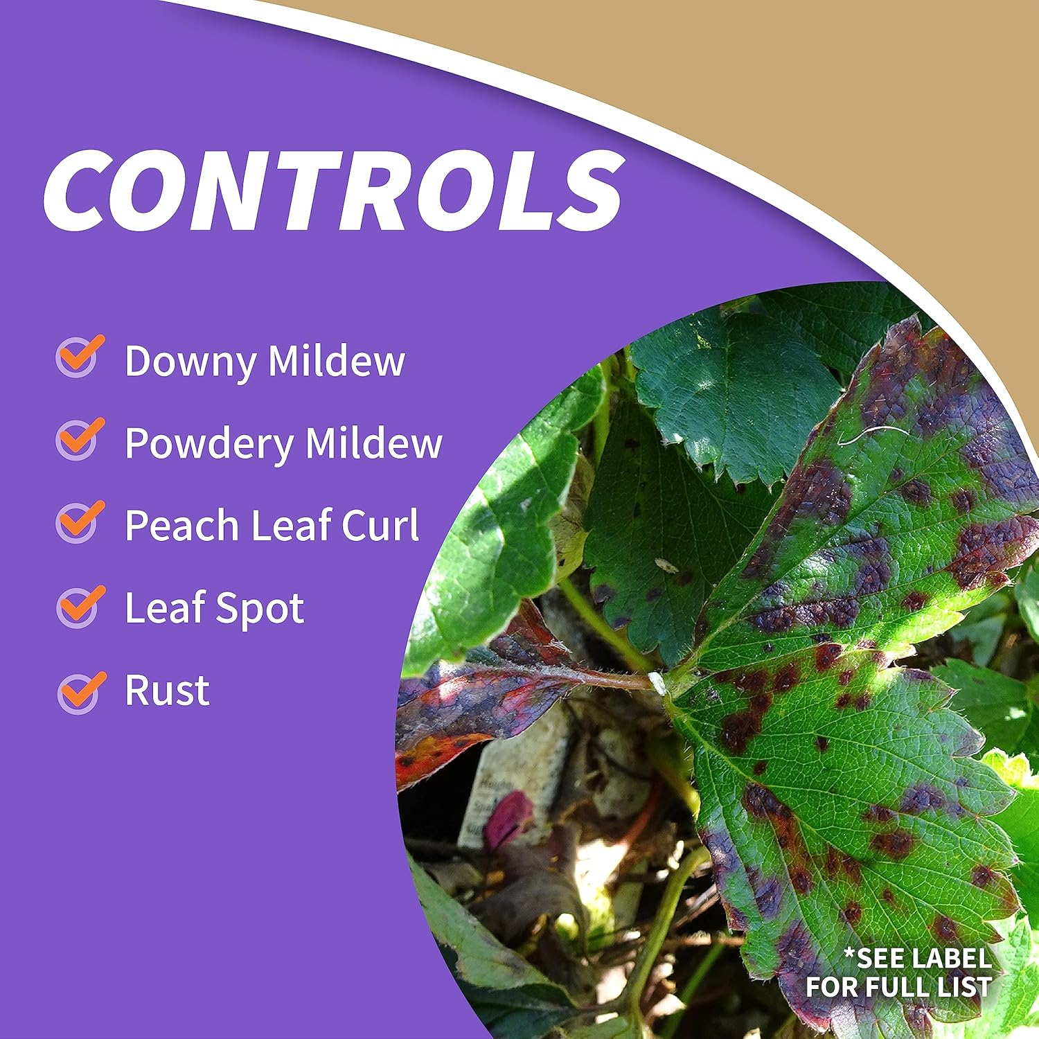 Bonide Captain Jack's Copper Fungicide, 32 oz Ready-to-Spray Disease Control Solution for Organic Gardening, Controls Leaf Curl4