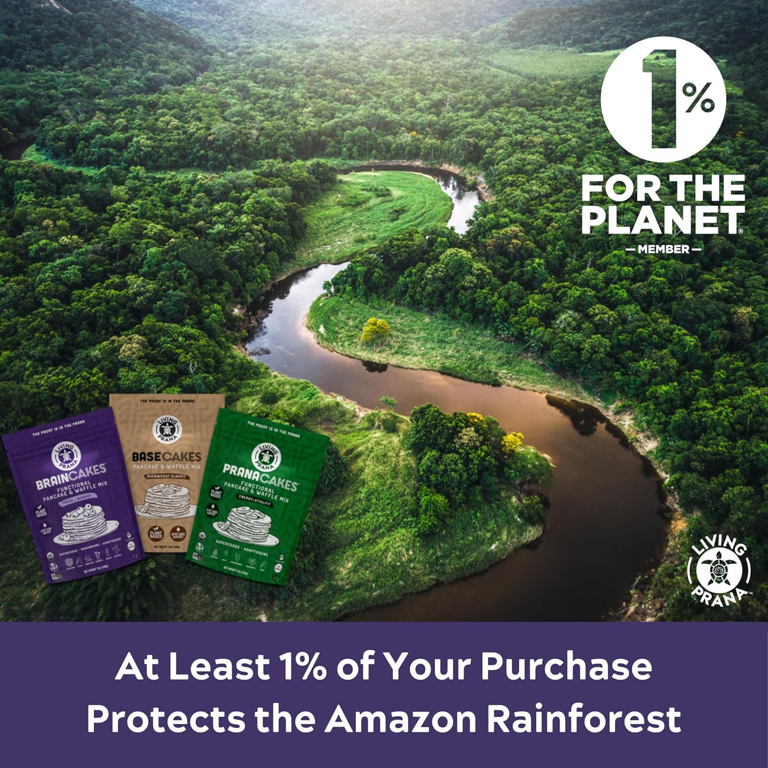 BrainCakes Superfood Organic Pancake & Waffle Mix Gluten Free Memory, Focus & Stress Support Just-Add-Water By LIVING PRANA 12oz (3-pack)8