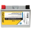 Cub Cadet 725P17335 Replacement 12-Volt 11 Ah 210 CCA Sealed AGM Riding Lawn Mower Battery